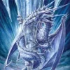 Max Protection 9 Pocket Portfolio Arctic Dragon 7