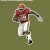McFarlane Toys NFL Adrian Peterson Oklahoma Sooners 30cm – 12-Inch Figur 5