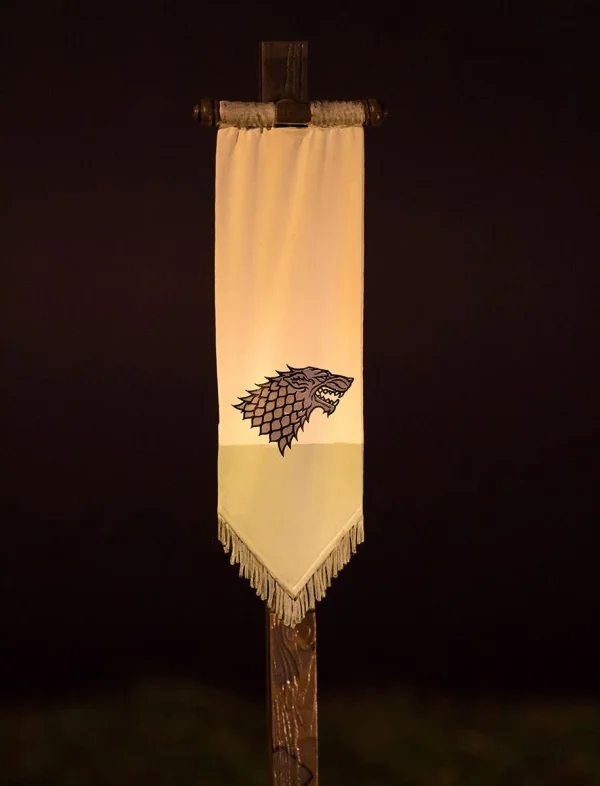 McFarlane Toys Game Of Thrones Building Set – Stark Banner Pack 5
