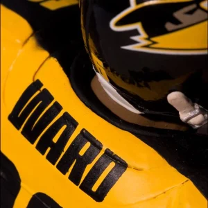 McFarlane Toys NFL – The Dark Knight Rises – Hines Ward Figur 21