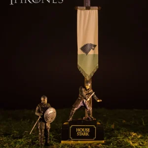 McFarlane Toys Game Of Thrones Building Set – Stark Banner Pack 21